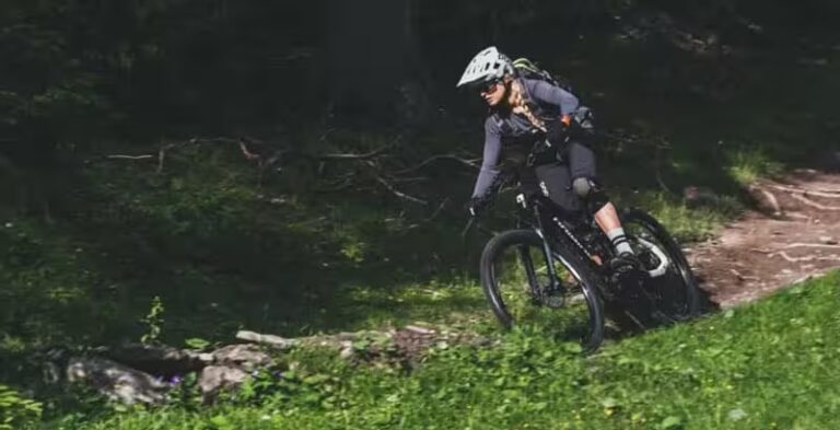 Large game de vélos électriques pour hommes, femmes, sportifs. VTC, VTT, cargo, semi-suspendu, tout-suspendu.