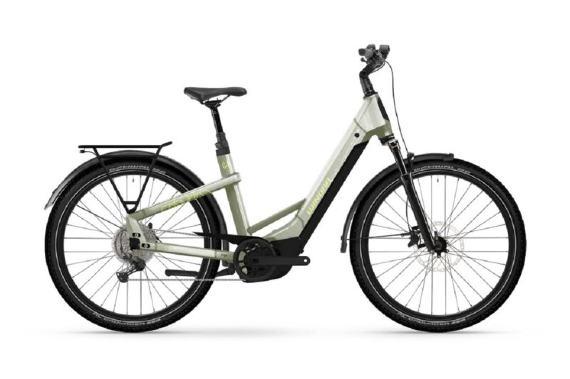 Winora Yakun X10 - Low
Low ivory green  2025