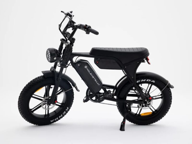 Molenstraat Fatbikes
DAPPER PRO – Image 3