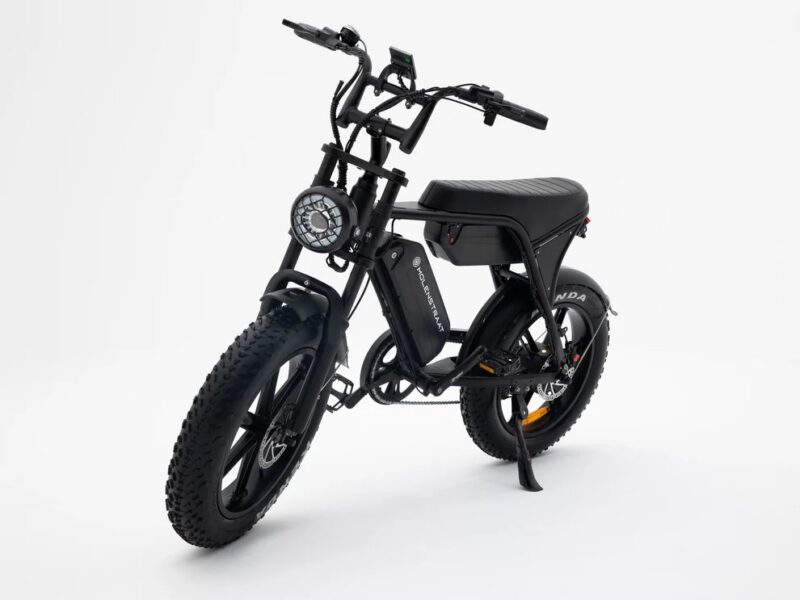 Molenstraat Fatbikes
DAPPER PRO – Image 2