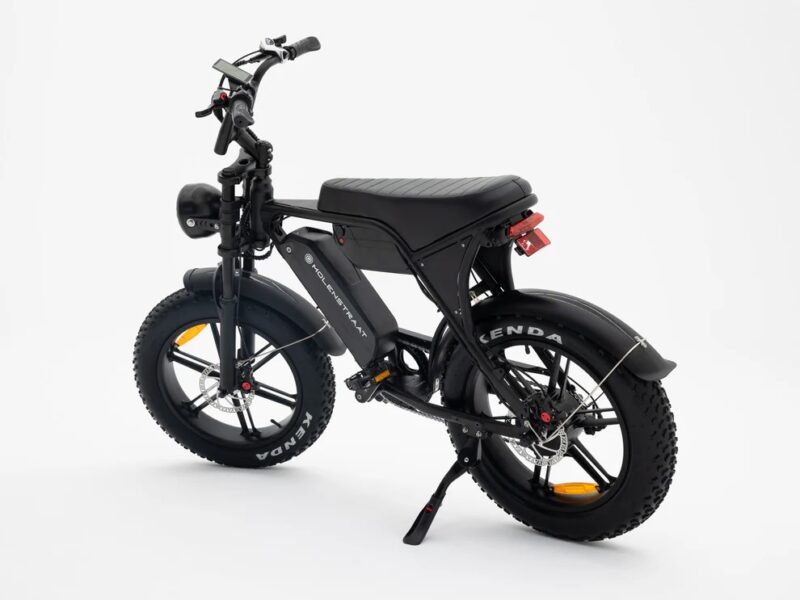 Molenstraat Fatbikes
DAPPER PRO – Image 4