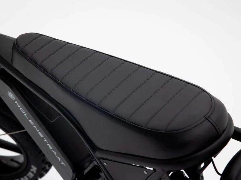 Molenstraat Fatbikes
DAPPER PRO – Image 8