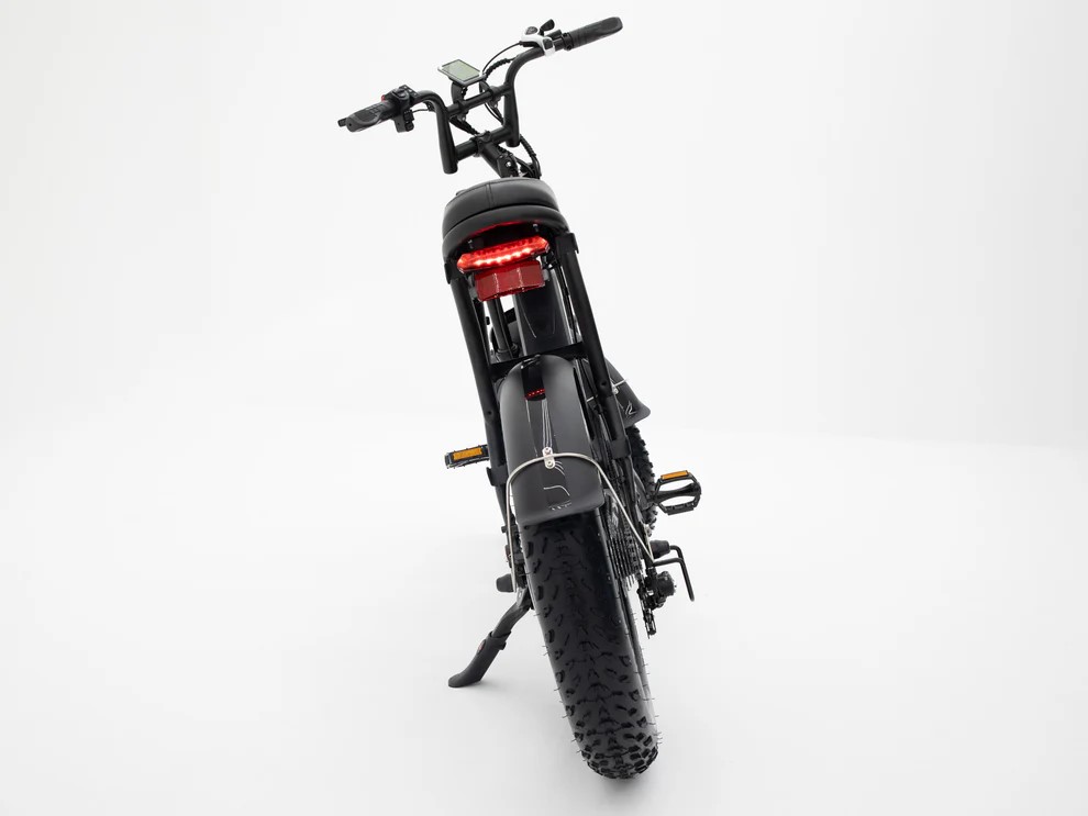 Molenstraat Fatbike
DAPPER – Image 4