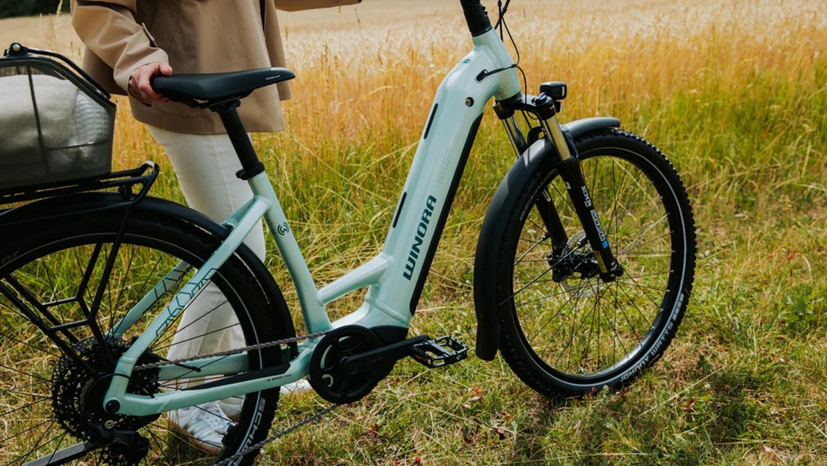 Winora Yucatan X10 - Low
PLUSH PIGEON mat  2026 – Image 3