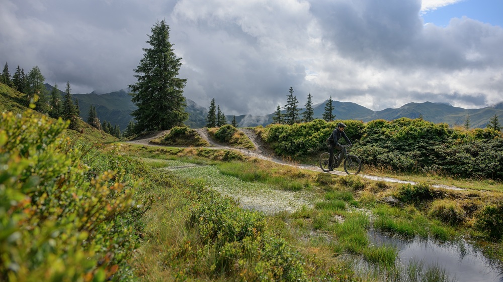 Cube Stereo Hybrid ONE44 Pro 800 lizard´n´black – Image 8